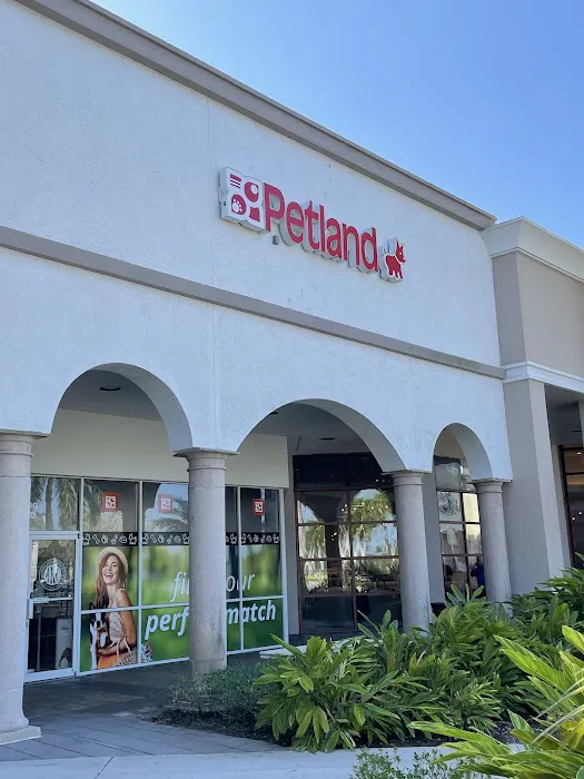 Petland Naples Picture 5