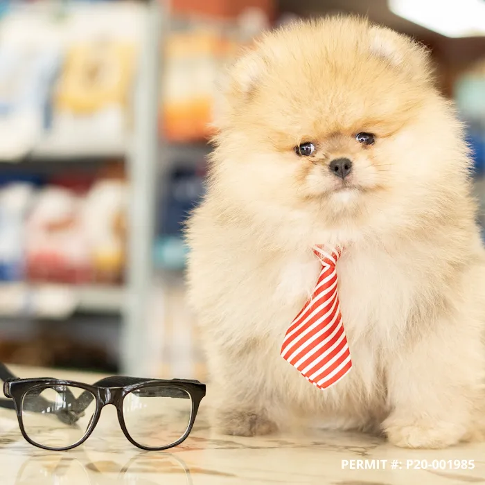 Petland Naples Picture 10