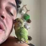 Lovely Feathered Friends