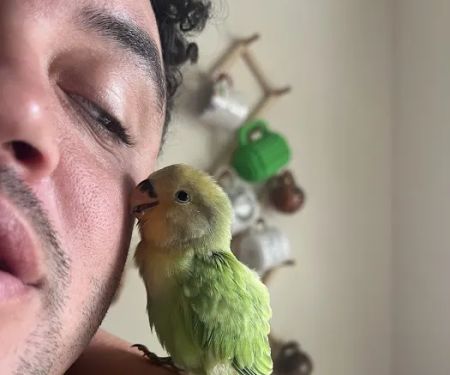 Lovely Feathered Friends