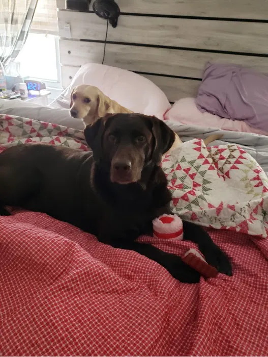 Eastfield Hospital For Animals Picture 5