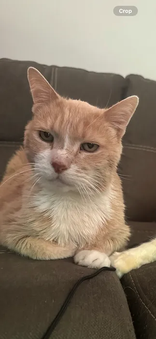 Eastfield Hospital For Animals Picture 10