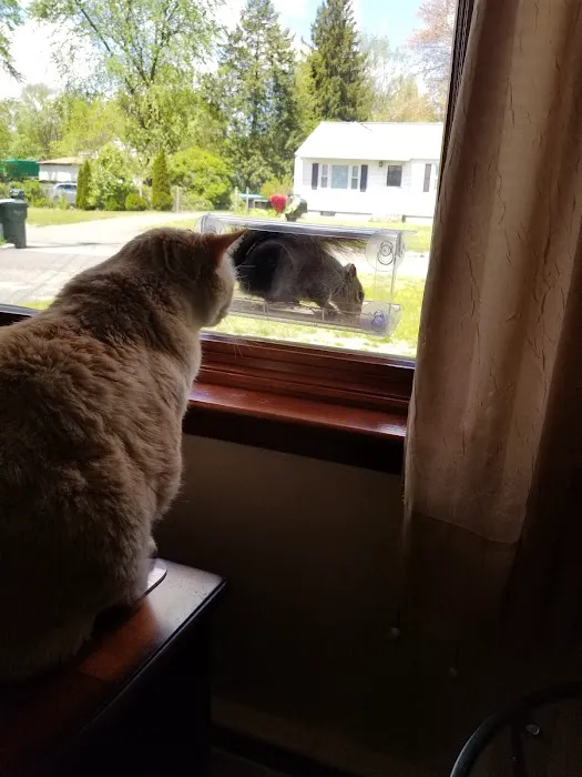 Eastfield Hospital For Animals Picture 4