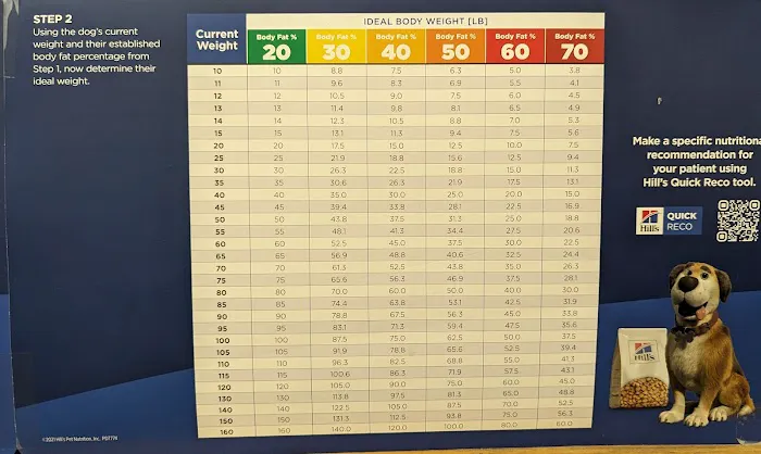 Eastfield Hospital For Animals Picture 7
