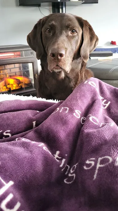 Eastfield Hospital For Animals Picture 2