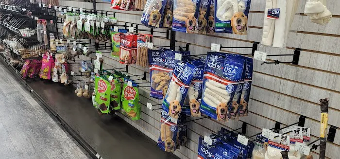 Pet Supermarket Picture 3