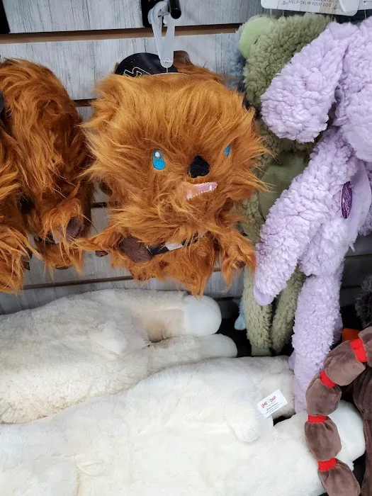 Pet Supermarket Picture 7