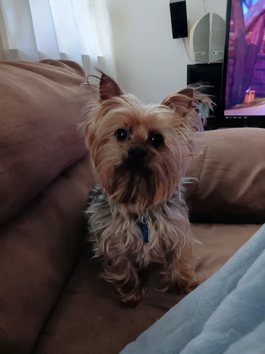 Vetco Vaccination Clinic Picture 2