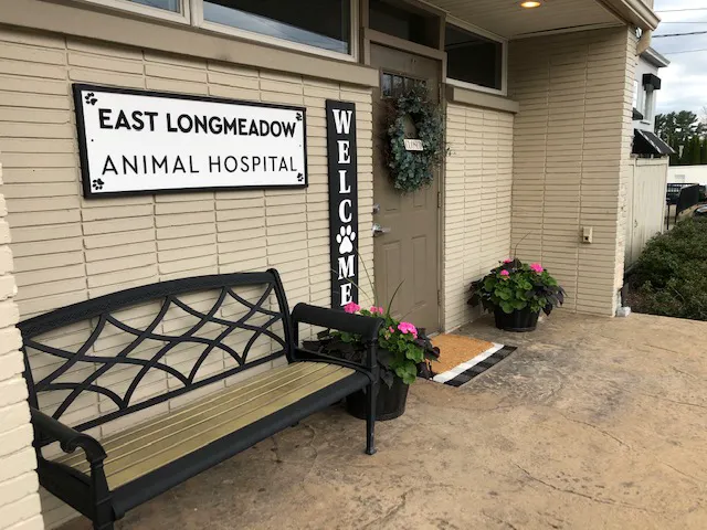 East Longmeadow Animal Hospital Picture 8