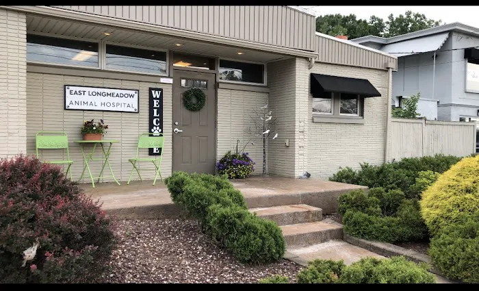 East Longmeadow Animal Hospital Picture 10