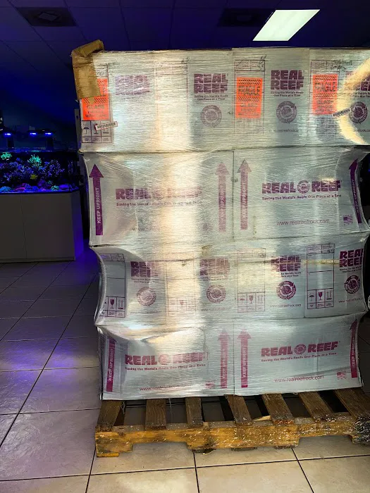 Saltwater Solutions Aquariums Inc Picture 7