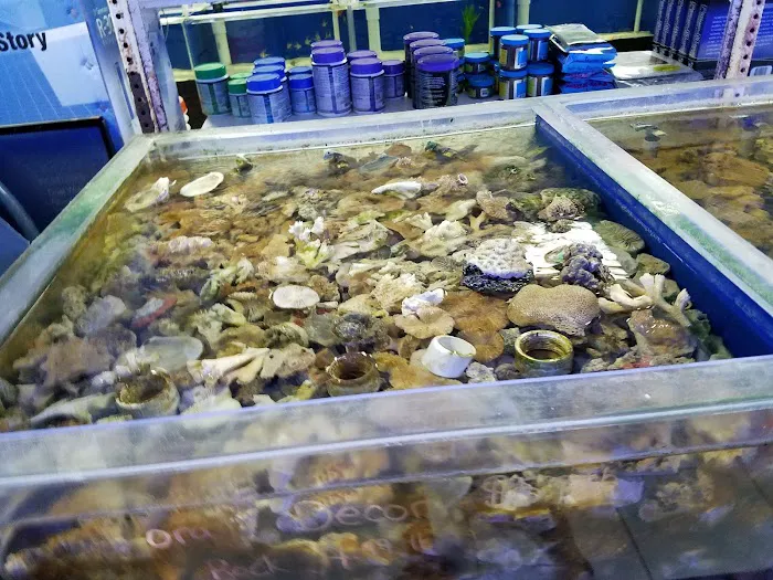 Saltwater Solutions Aquariums Inc Picture 4