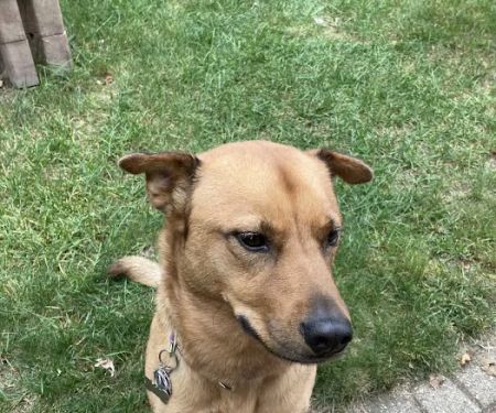 Spruce Hill Veterinary Clinic