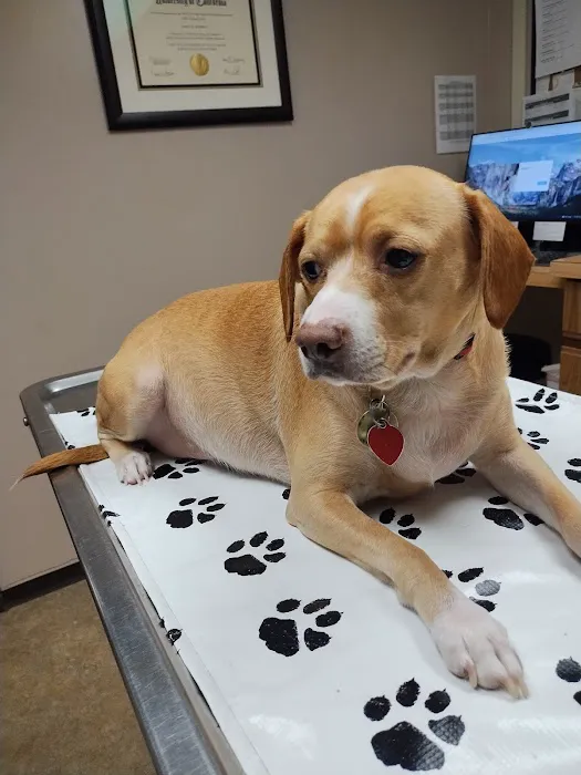 Spruce Hill Veterinary Clinic Picture 3