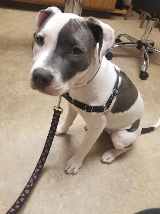 Spruce Hill Veterinary Clinic Picture 9