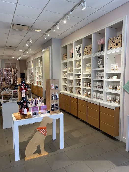 Healthy Pooch Boutique and Bakery Picture 2