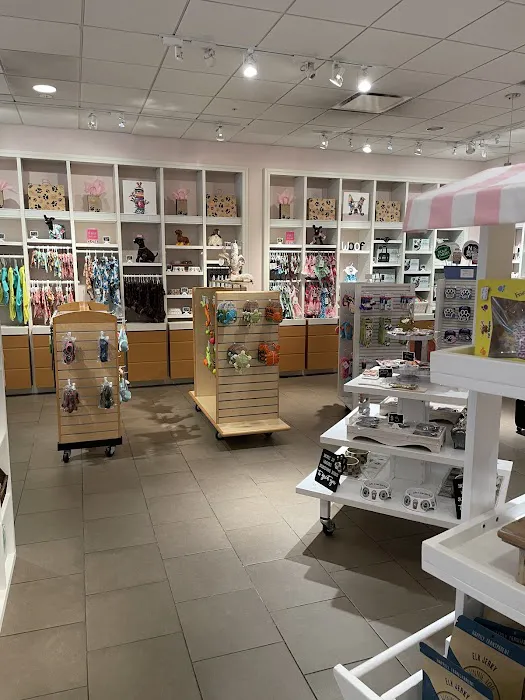 Healthy Pooch Boutique and Bakery Picture 5