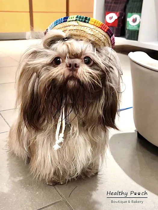 Healthy Pooch Boutique and Bakery Picture 6