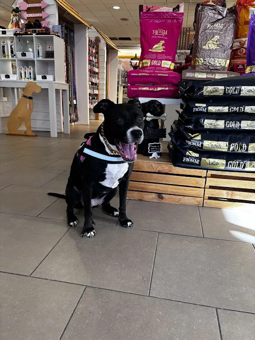 Healthy Pooch Boutique and Bakery Picture 10