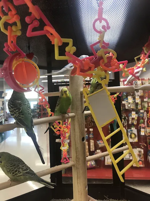 Petco Picture 1