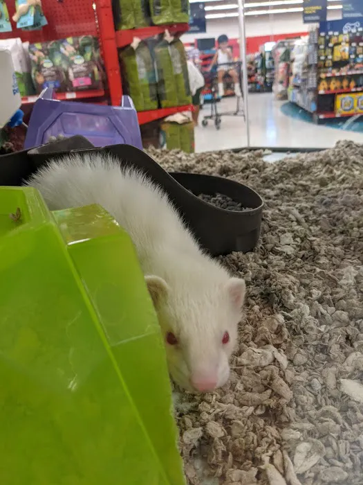 Petco Picture 7