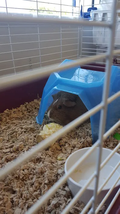 Petco Picture 6
