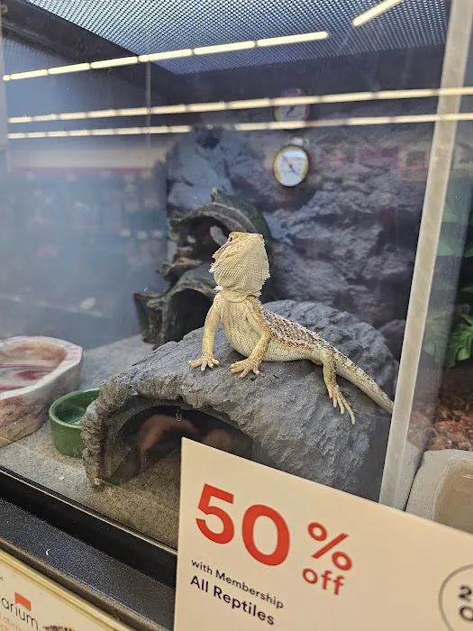 Petco Picture 9