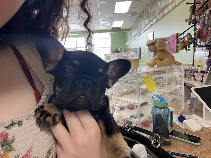 Lil Rascals Puppies Picture 8