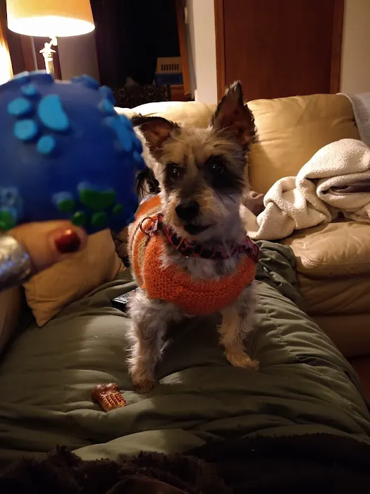 Windsor Animal Clinic Picture 1