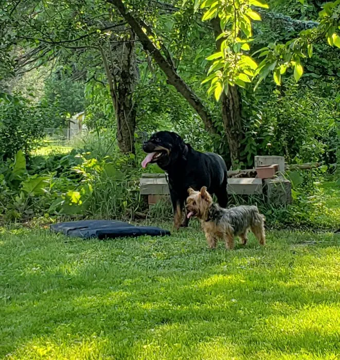 Windsor Animal Clinic Picture 4