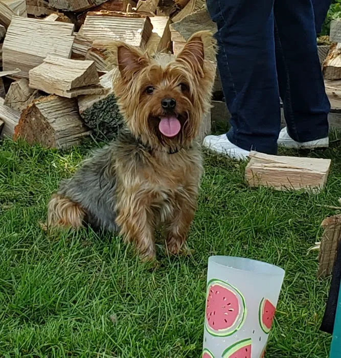 Windsor Animal Clinic Picture 5