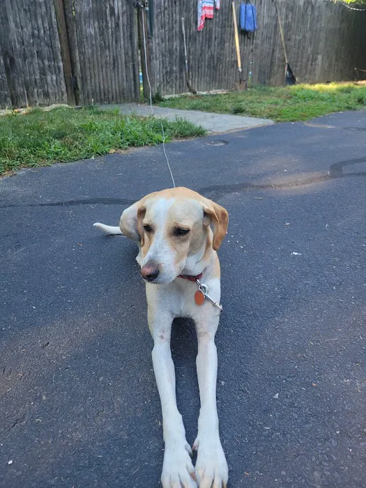 Windsor Animal Clinic Picture 9