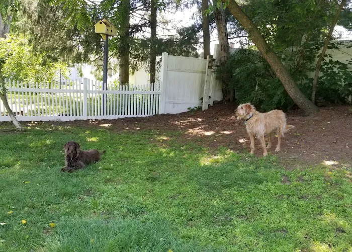 Windsor Animal Clinic Picture 8