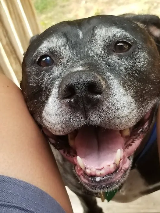 Windsor Animal Clinic Picture 6