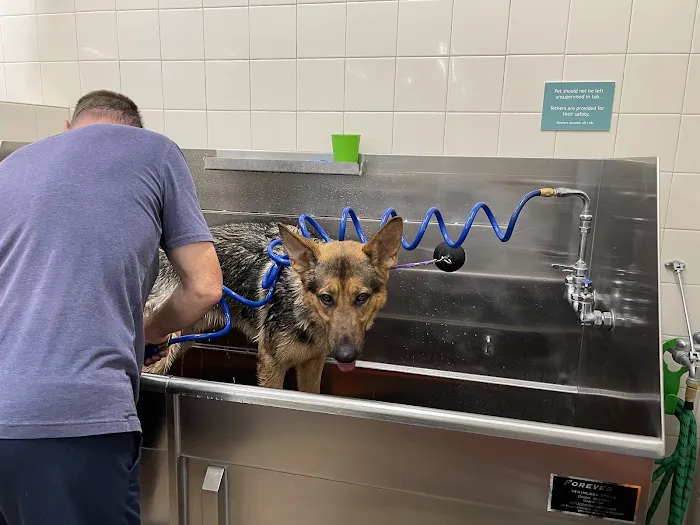 Hollywood Feed Picture 1