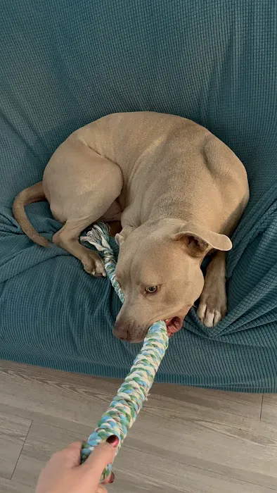 Hollywood Feed Picture 6