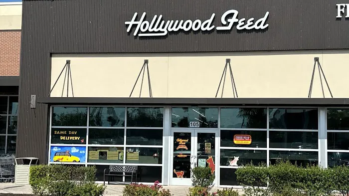 Hollywood Feed Picture 2