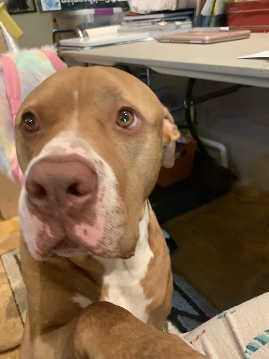 Hollywood Feed Picture 3