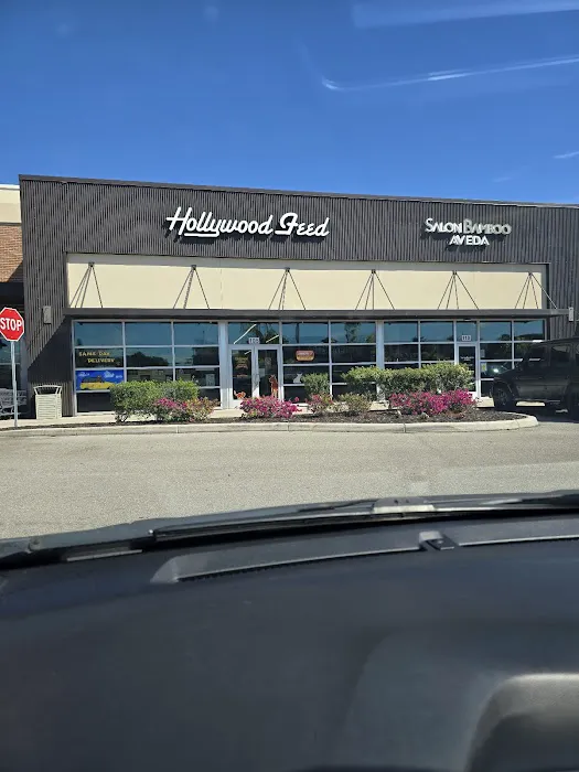 Hollywood Feed Picture 8