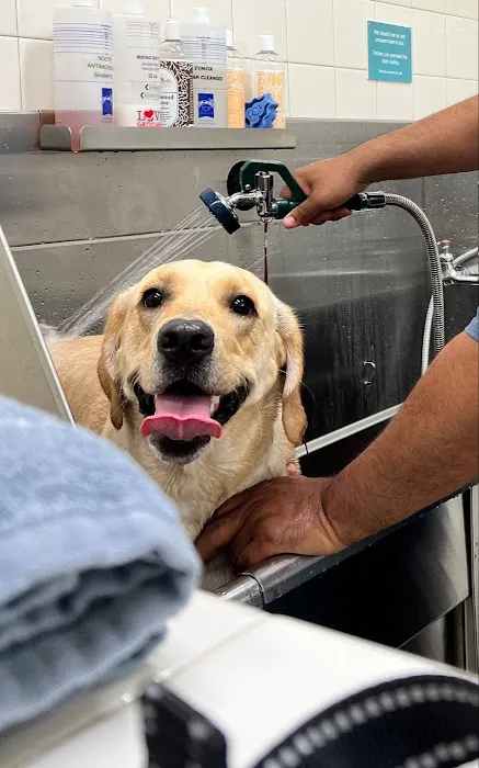 Hollywood Feed Picture 7