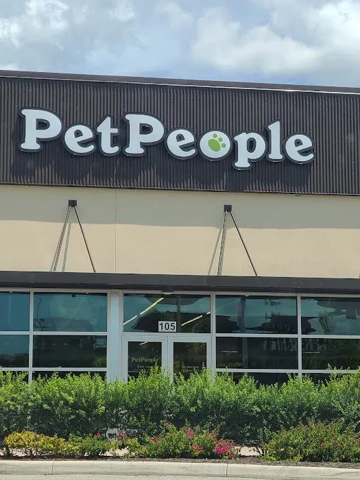 Hollywood Feed Picture 9