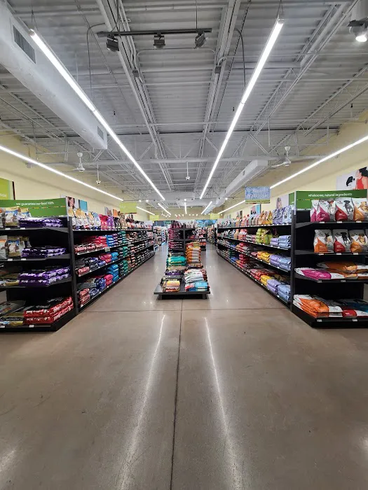 Hollywood Feed Picture 10