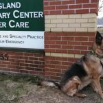New England Veterinary Center & Cancer Center