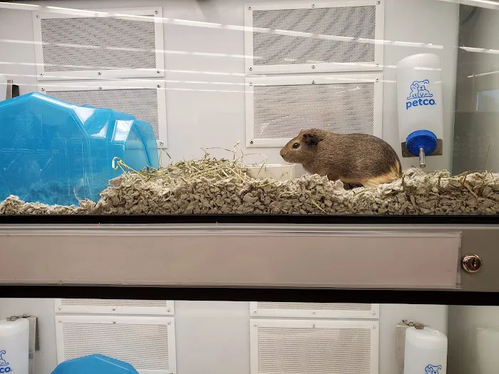 Petco Picture 1