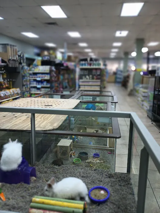 Petland Fort Myers Picture 3