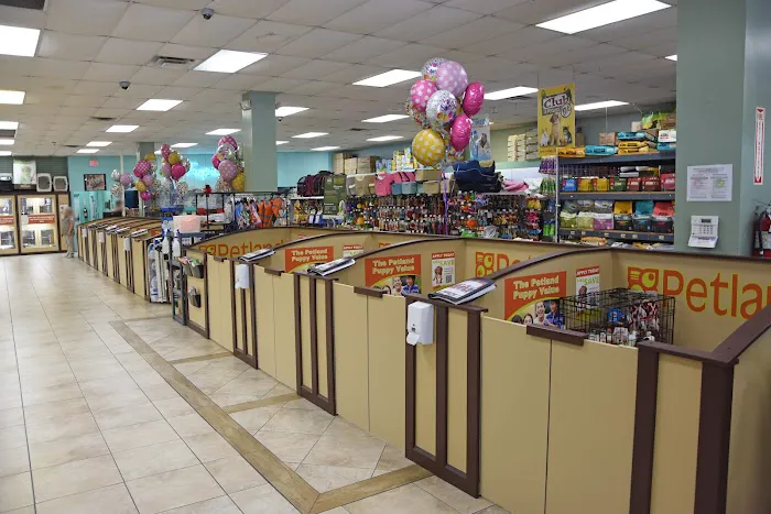 Petland Fort Myers Picture 7