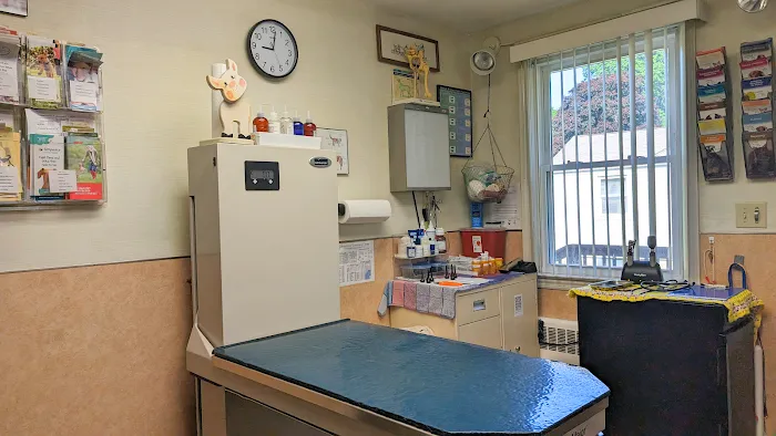 Connecticut Veterinary Center Picture 9