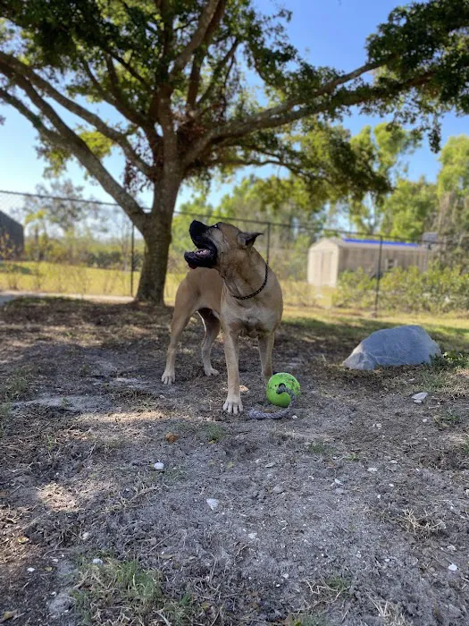 Powerhouse Dog Supply Picture 7