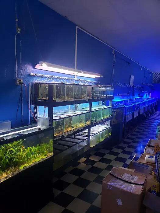 Boardroom Aquariums Picture 1