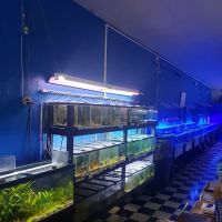 Boardroom Aquariums ico